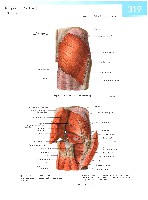 Sobotta  Atlas of Human Anatomy  Trunk, Viscera,Lower Limb Volume2 2006, page 326